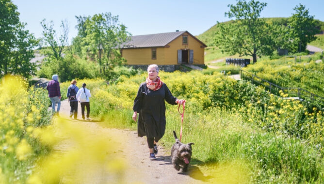 Kesätyöt lähihoitajille ja sairaanhoitajille Uudellamaalla – vielä ehdit mukaan